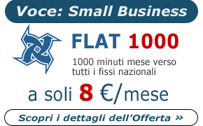 Offerta Voce: Flat 1000 - Small Business
