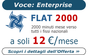 Offerta Voce: Flat 2000 - Enterprise