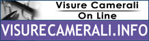 Ottieni Visure Camerali On-Line
